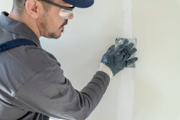 Best Post-Construction Mold Inspection  in Louisville, CO