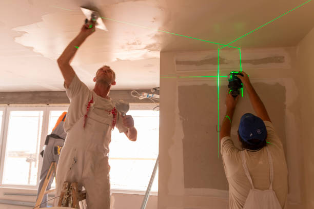 Biohazard Mold Removal in Louisville, CO