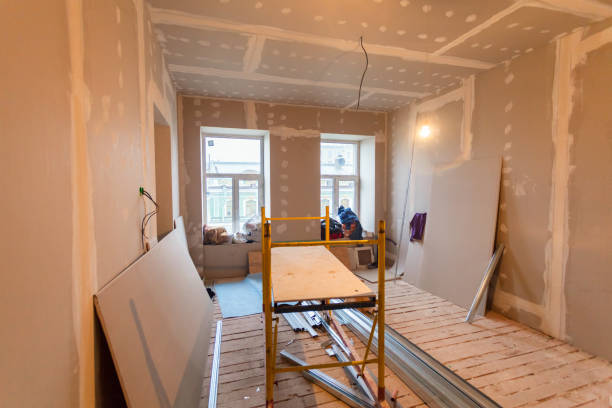 Best Environmental Consulting for Mold Prevention  in Louisville, CO